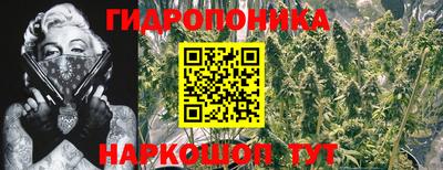 ECSTASY Мариинск
